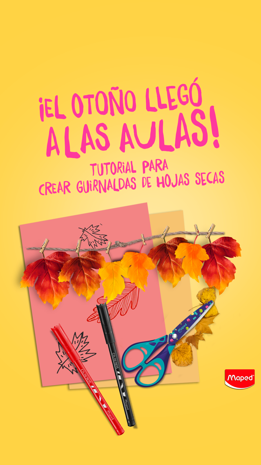 ¡El otoño llegó a las aulas! 🍂✨